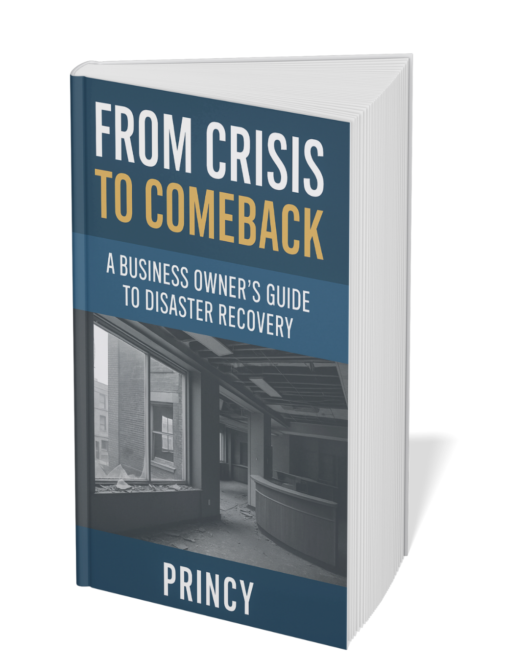 From Crisis to Comeback cover